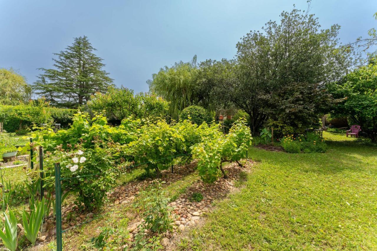 Villa La Mireio Malaucène Eksteriør bilde